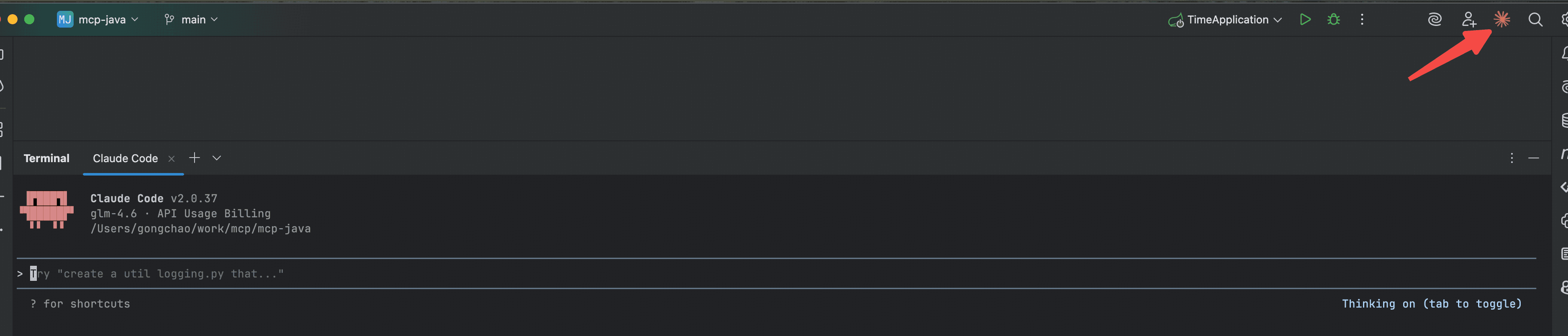 JetBrains Claude Code 使用示例